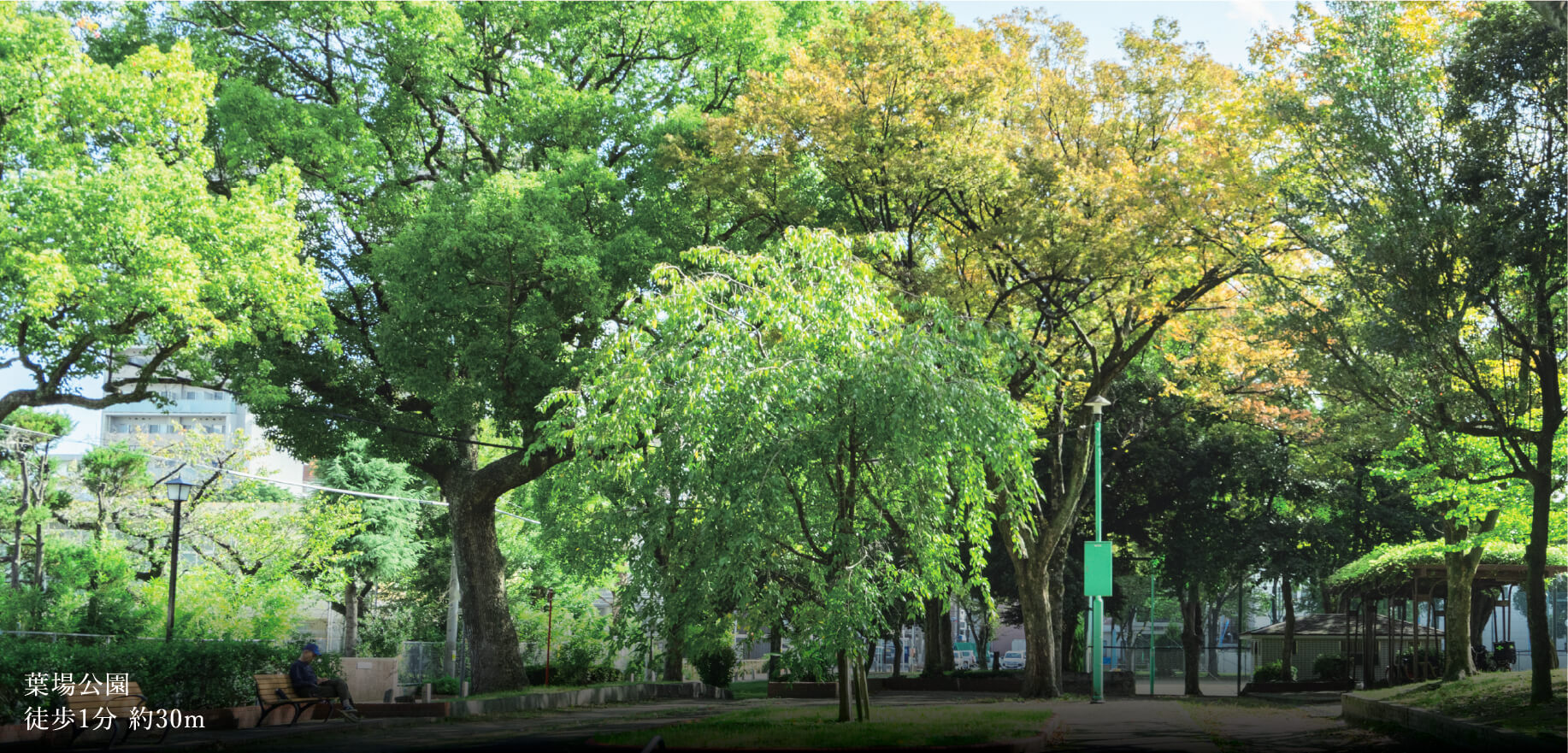 葉場公園徒歩1分 約30m