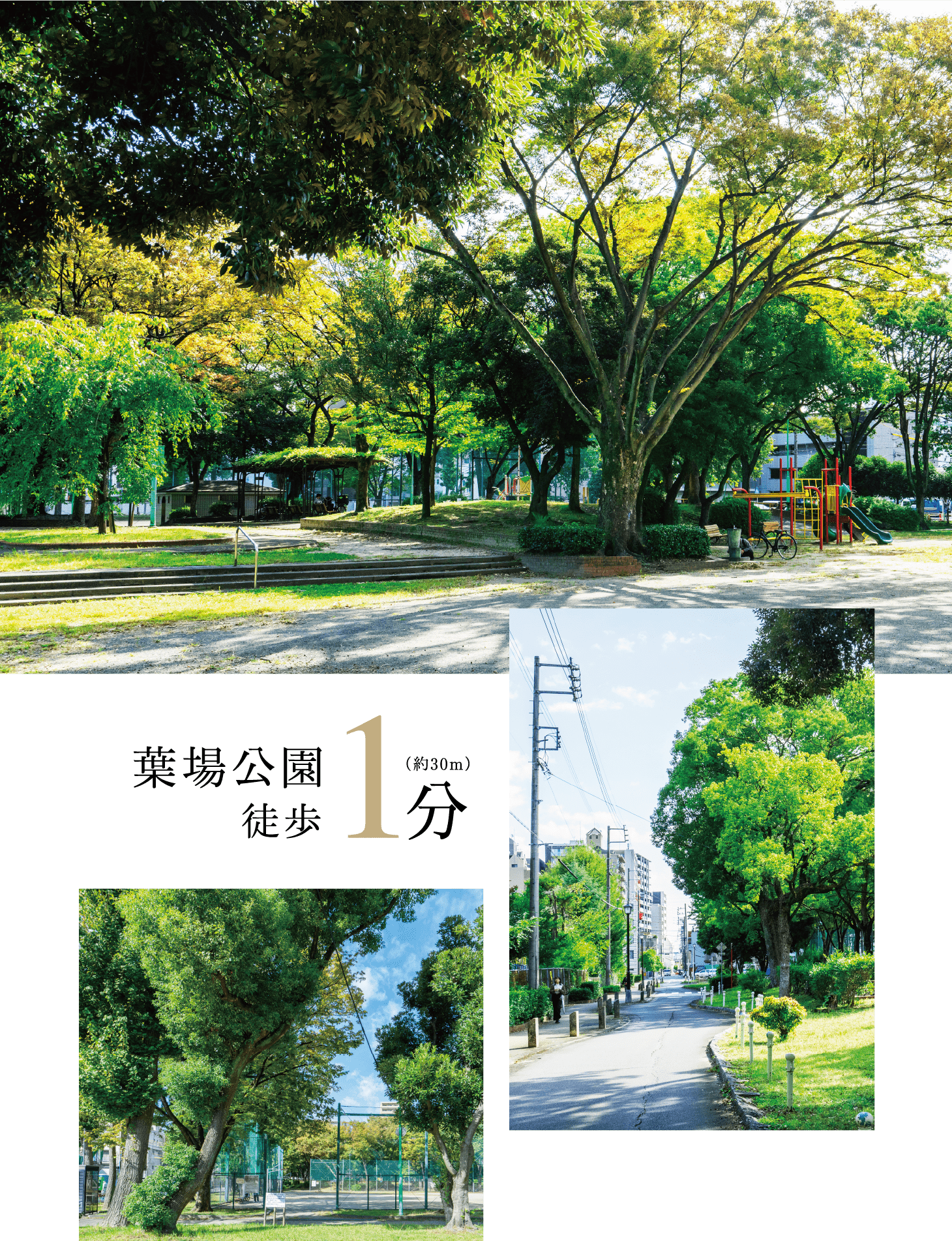 葉場公園 徒歩1分（約30m）